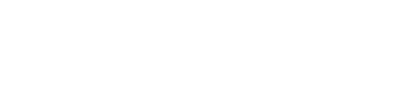 SDU Logo